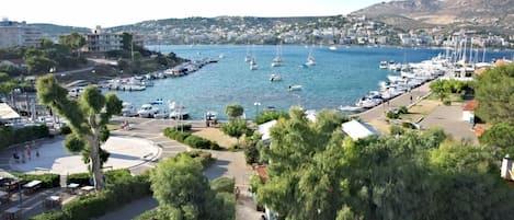 Vista desde la propiedad