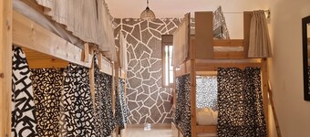 Drago Hostel