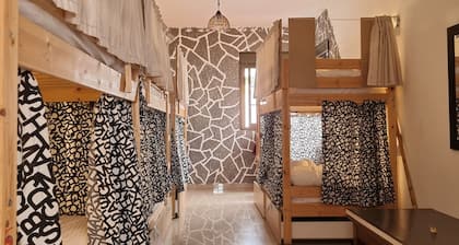 Drago Hostel