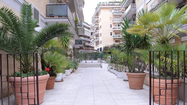 Un pasillo con plantas en macetas y una entrada porticada, que conduce a un edificio de varios pisos con balcones.
