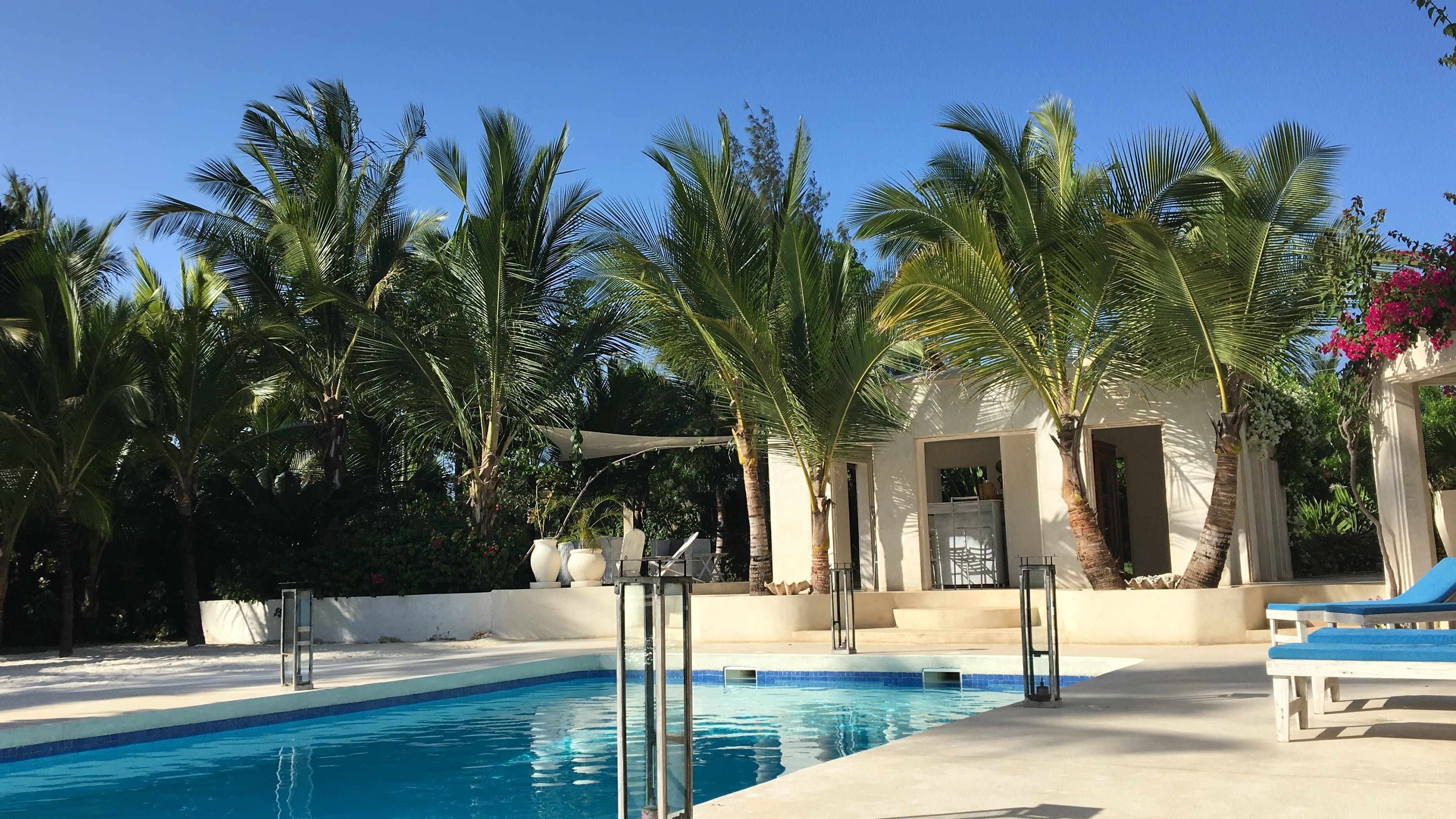 outdoor pool, pool loungers