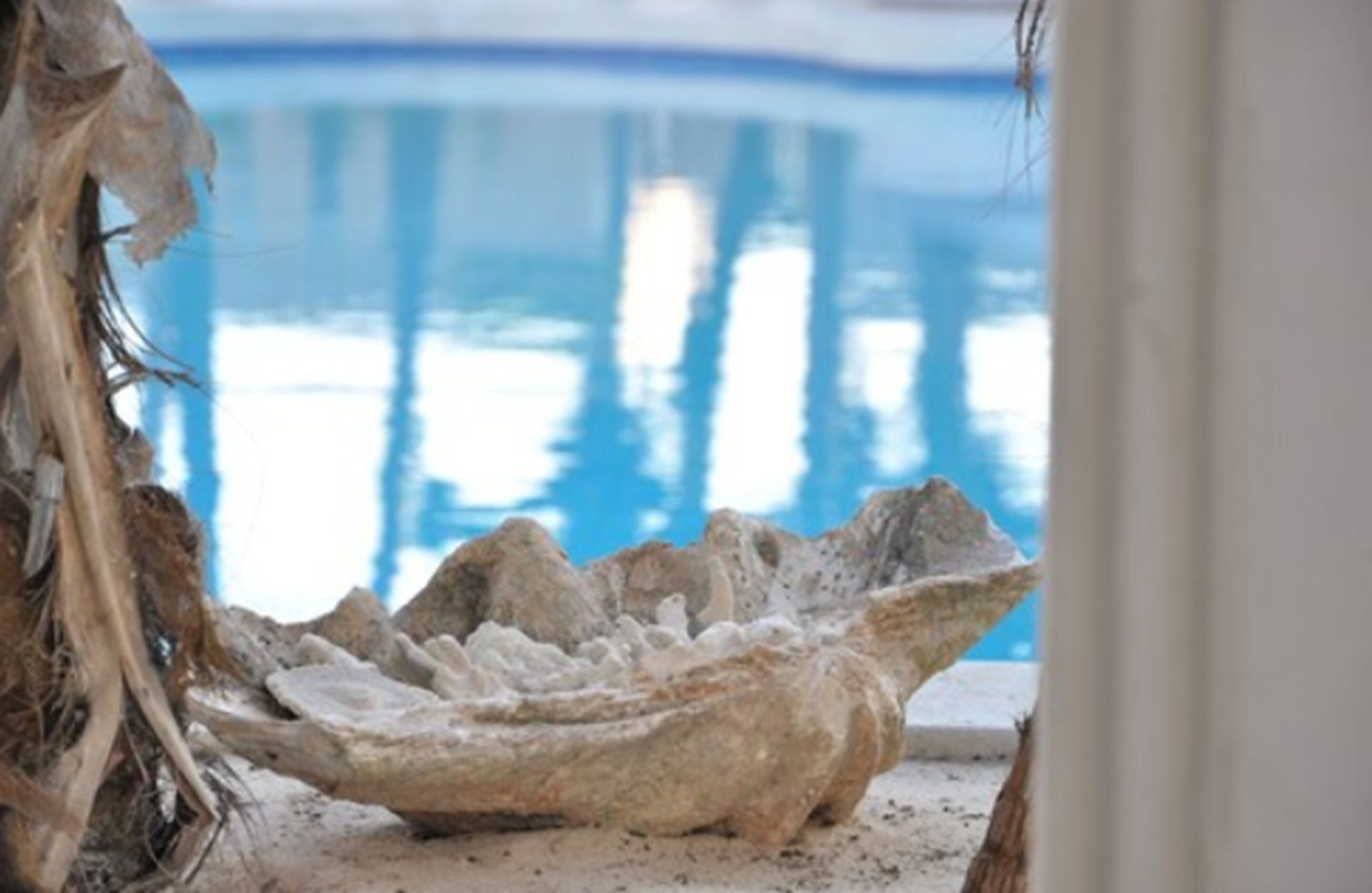 manicures and pedicures, massages