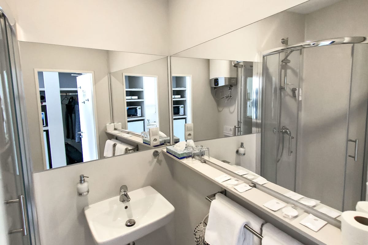 shower, free toiletries, hair dryer, towels