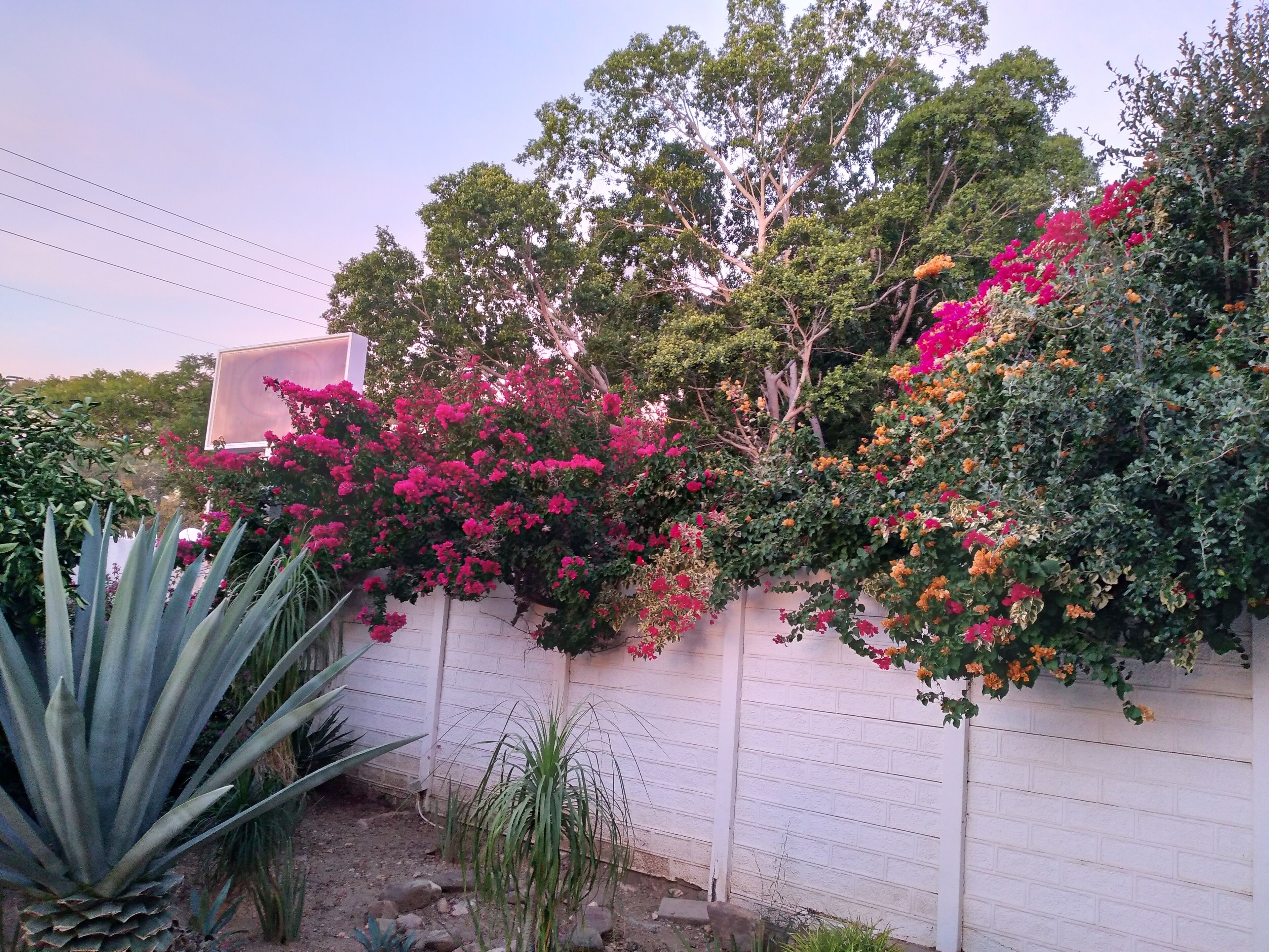 standard single room | 1 bedroom, minibar, desk, laptop workspace
