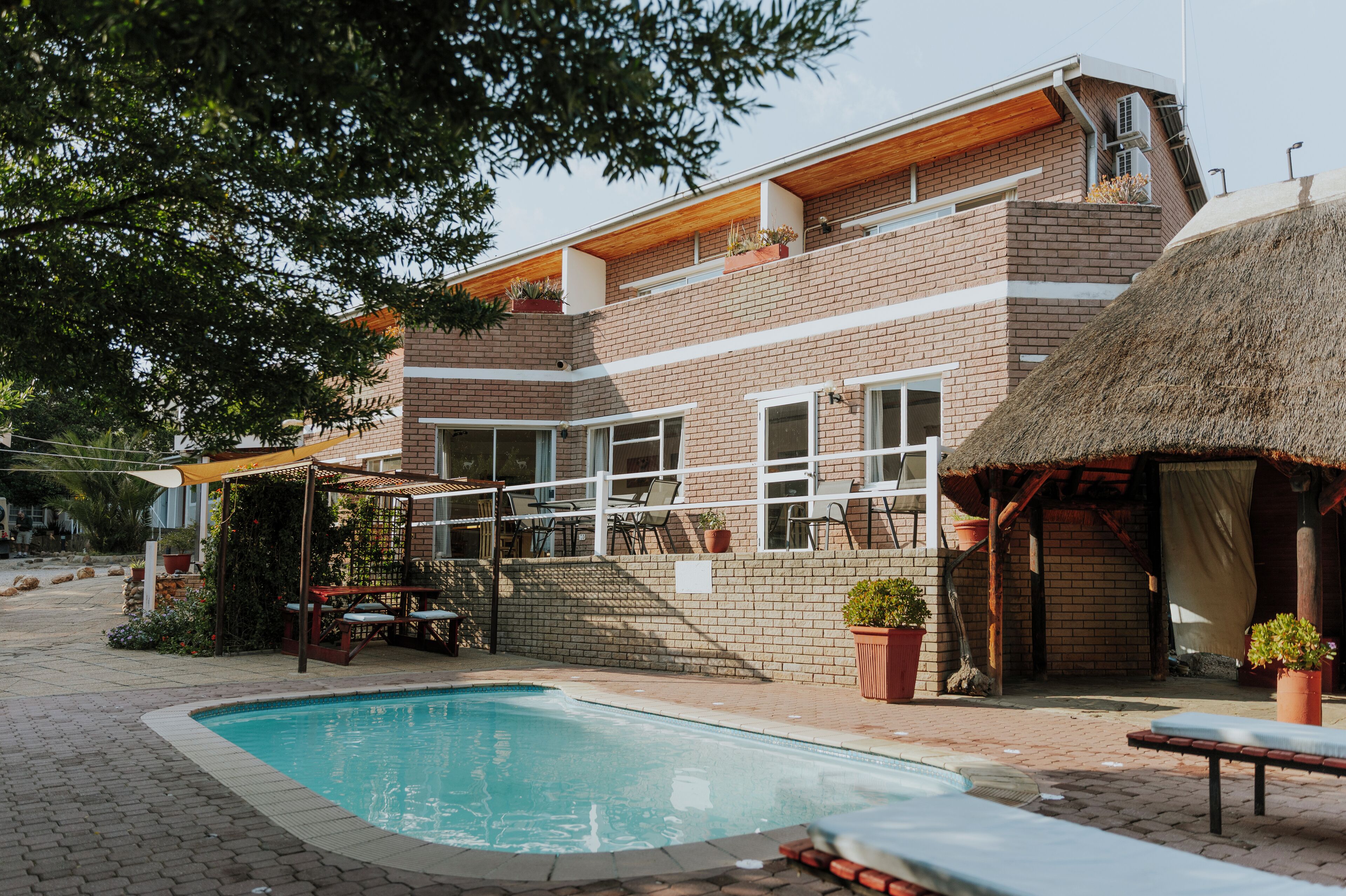 outdoor pool, pool loungers