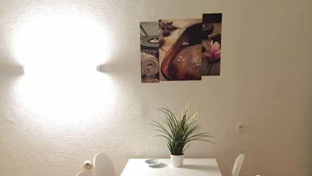A dining area with a white table and four white chairs. There is a potted plant on the table. - Apartment- Schottenfeldgasse (Vienna)