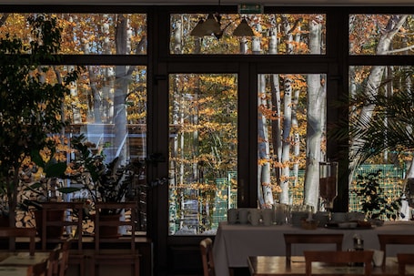 International cuisine, garden views