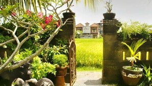 Hallway - Permana Ubud Cottage (Ubud)