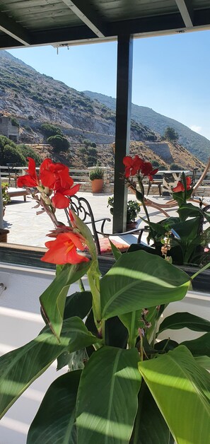 การตกแต่งภายนอก