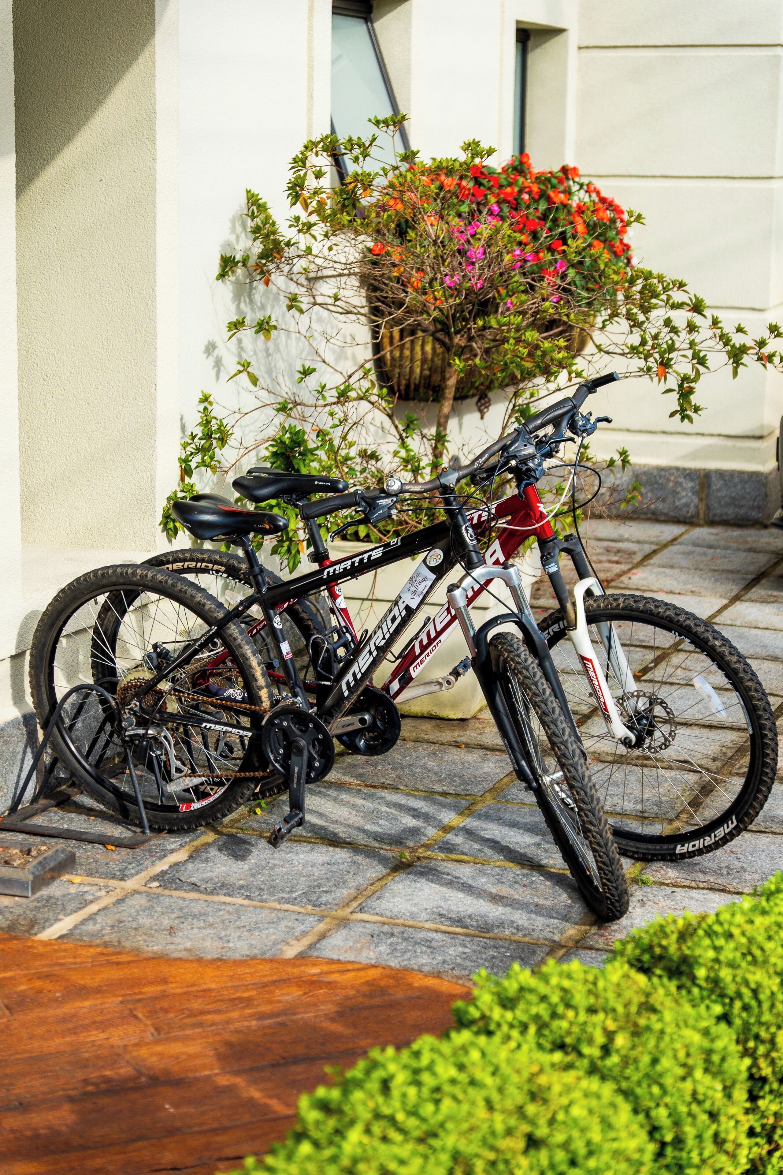 Photo - Pousada D'Biagy Premium