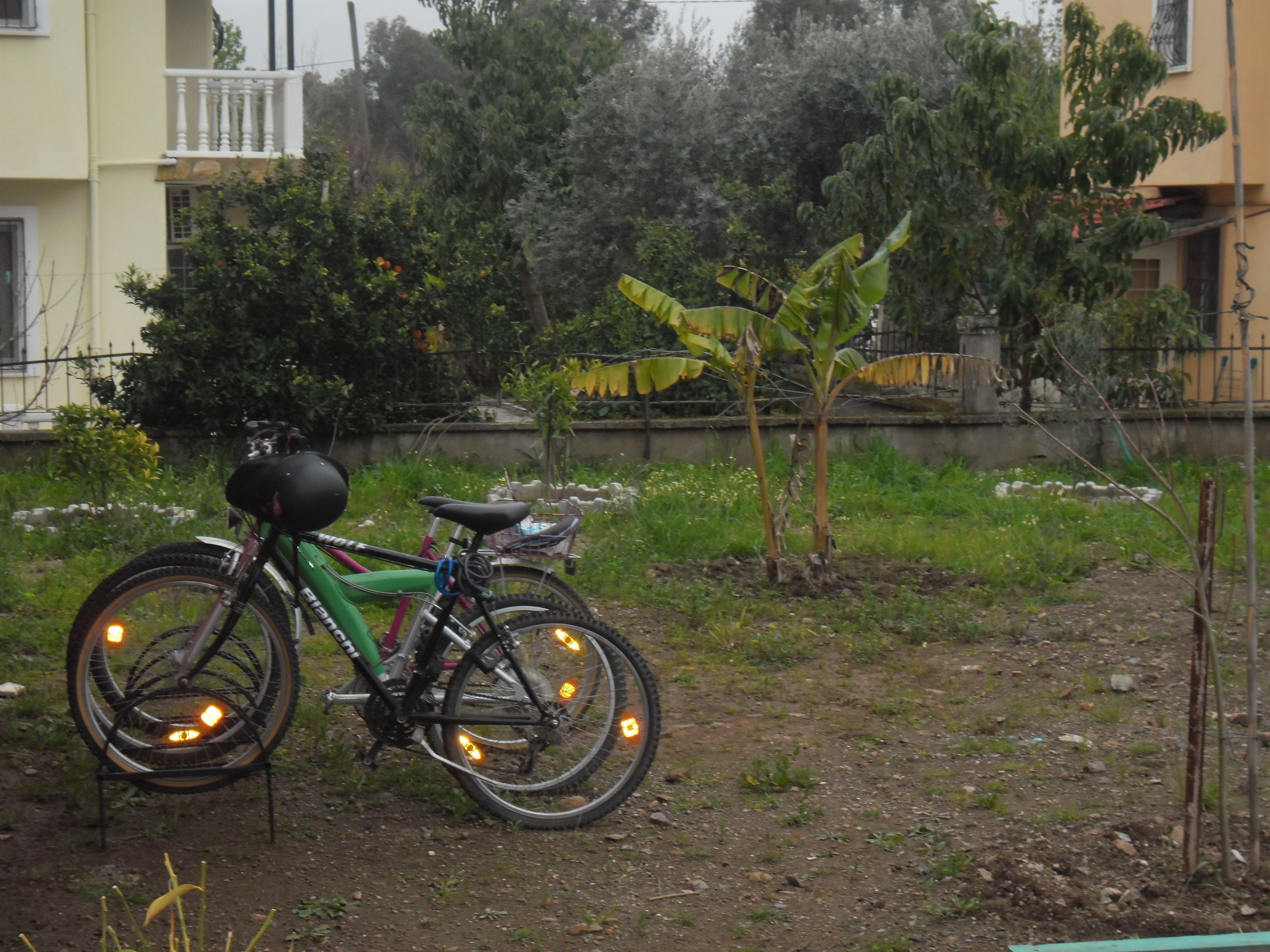 Foto - Chillsteps Hostel