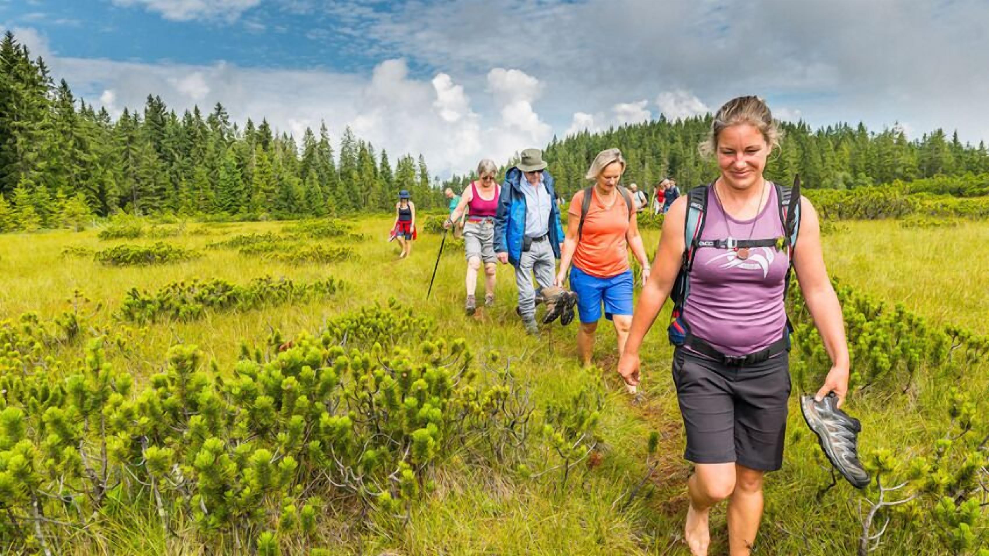 Um grupo de pessoas caminhando em um campo gramado com uma floresta densa ao fundo.
