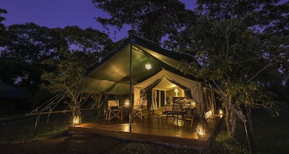 Little Governors Camp