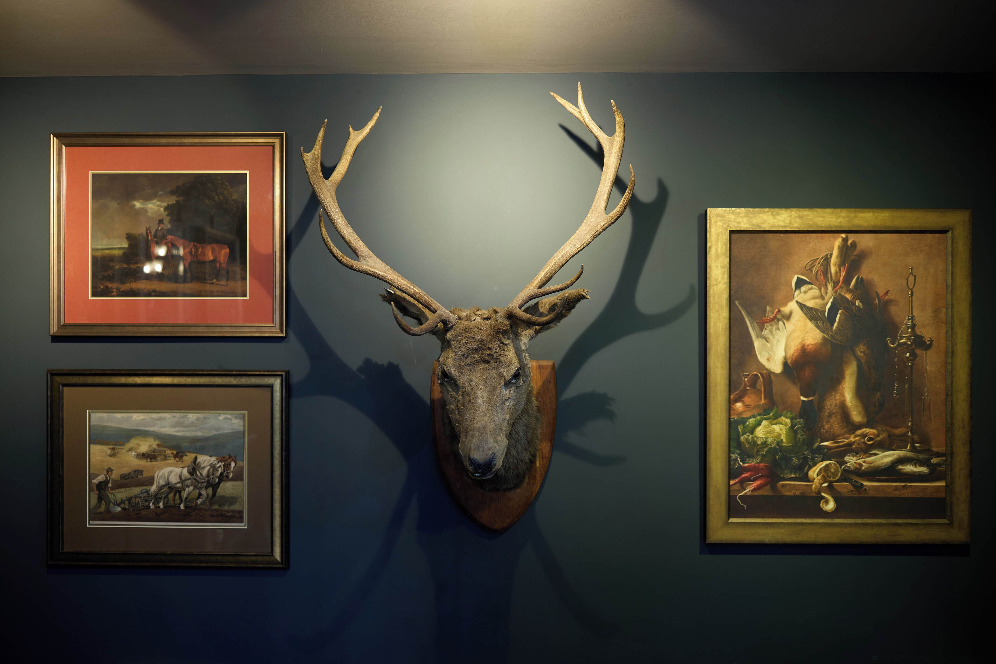 Una pared con una cabeza de venado montada y tres cuadros enmarcados.