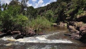 A river flowing through a rocky landscape with dense greenery on both sides.