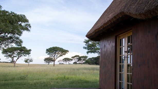 A wooden building with a thatched roof, a wooden deck, and a door with glass panels.