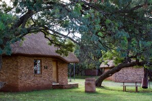 Desk, iron/ironing board, free rollaway beds - Ezemvelo Nature Reserve (Bronkhorstspruit)