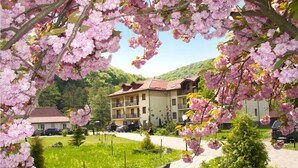 Un hôtel avec un chemin pavé, un banc et des cerisiers en fleurs au premier plan.