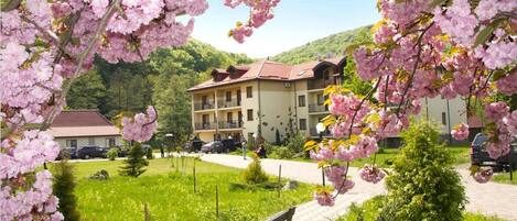 A hotel with a paved pathway, a bench, and cherry blossoms in the foreground.