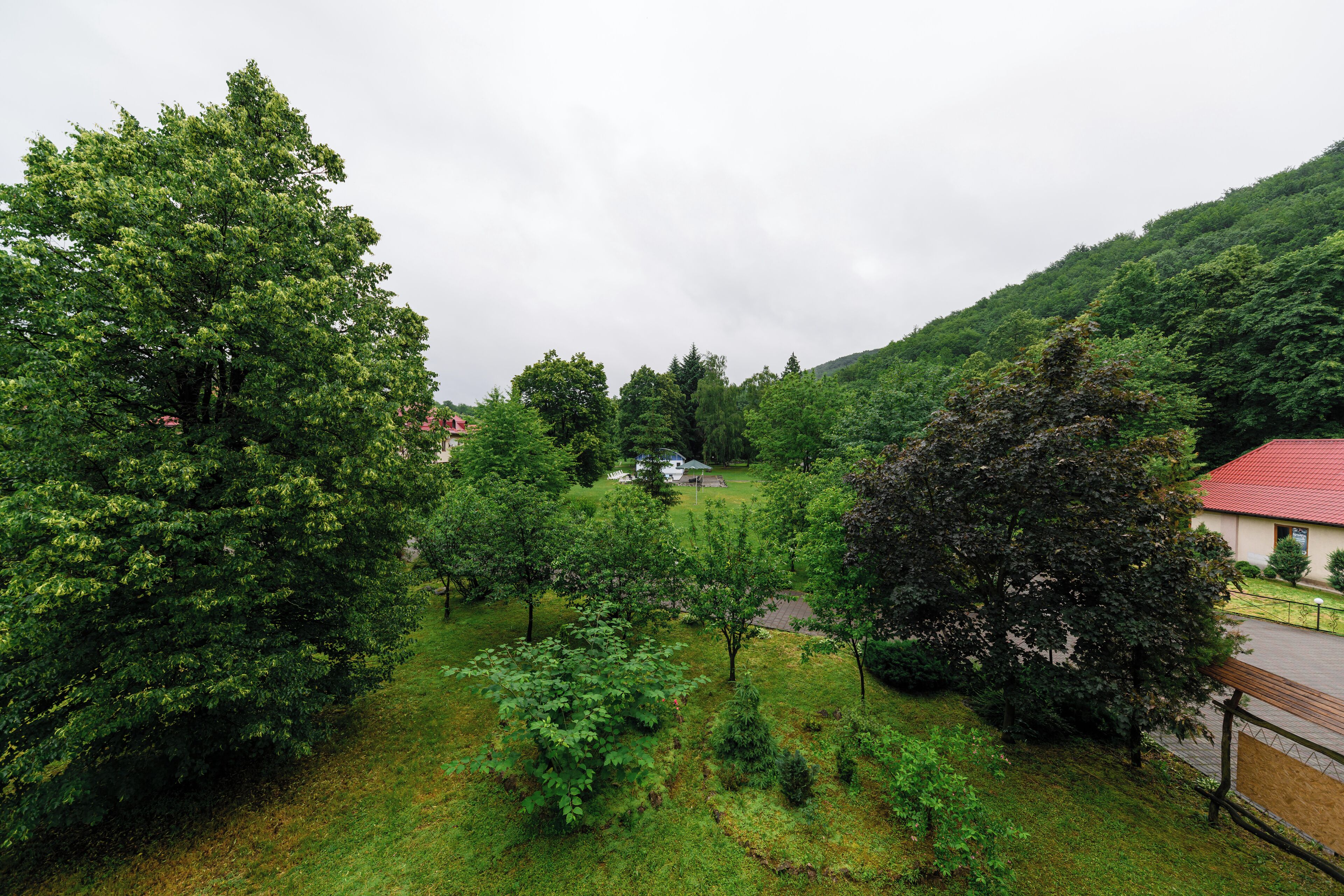 Un paisaje verde y exuberante con diversos árboles y un edificio de techo rojo.