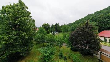 Un paisaje verde y exuberante con diversos árboles y un edificio de techo rojo.