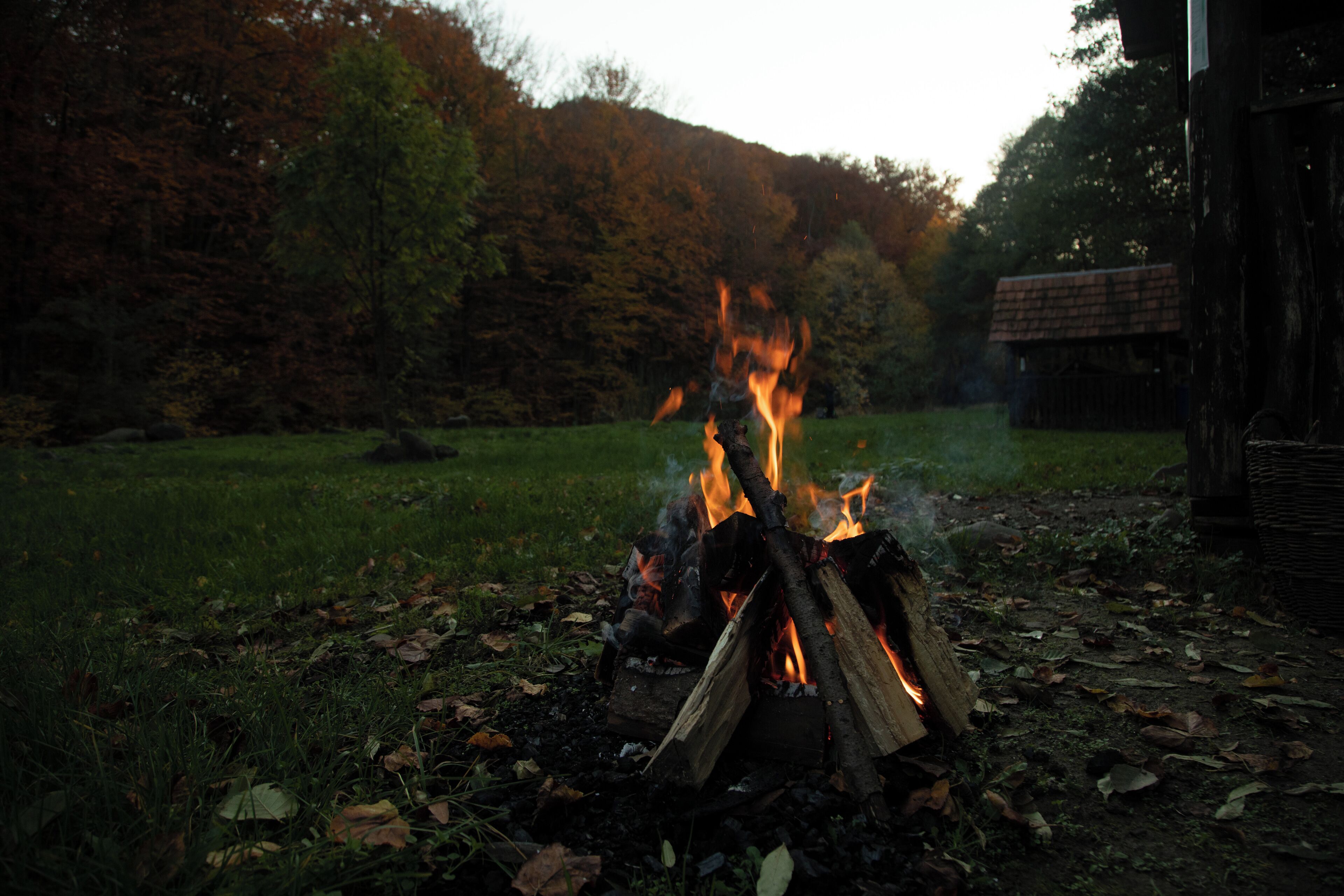 A campfire with logs and flames, surrounded by a grassy area with fallen leaves and a forest in the background.