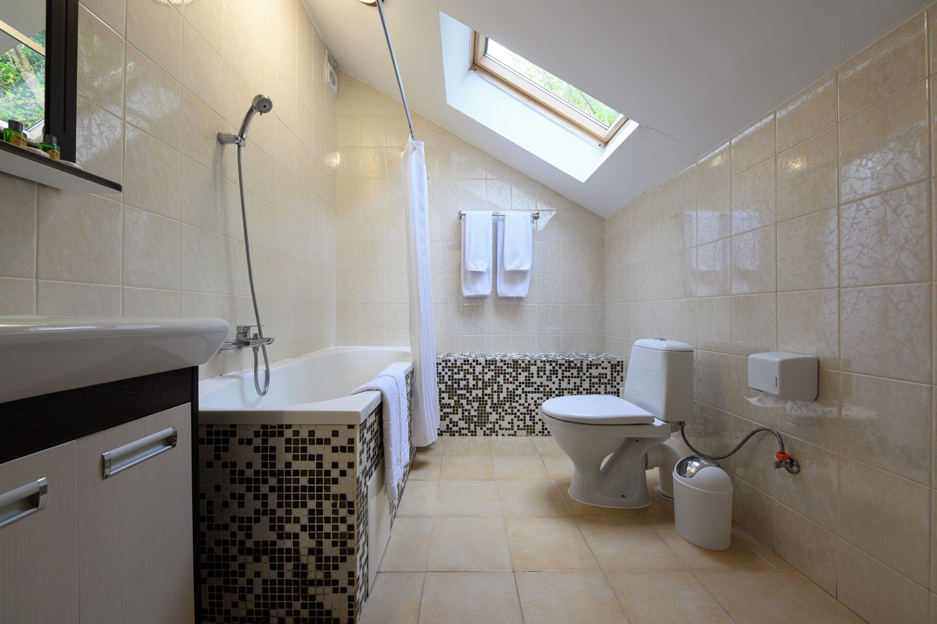 A modern bathroom with a skylight, a shower, a toilet, and a sink.