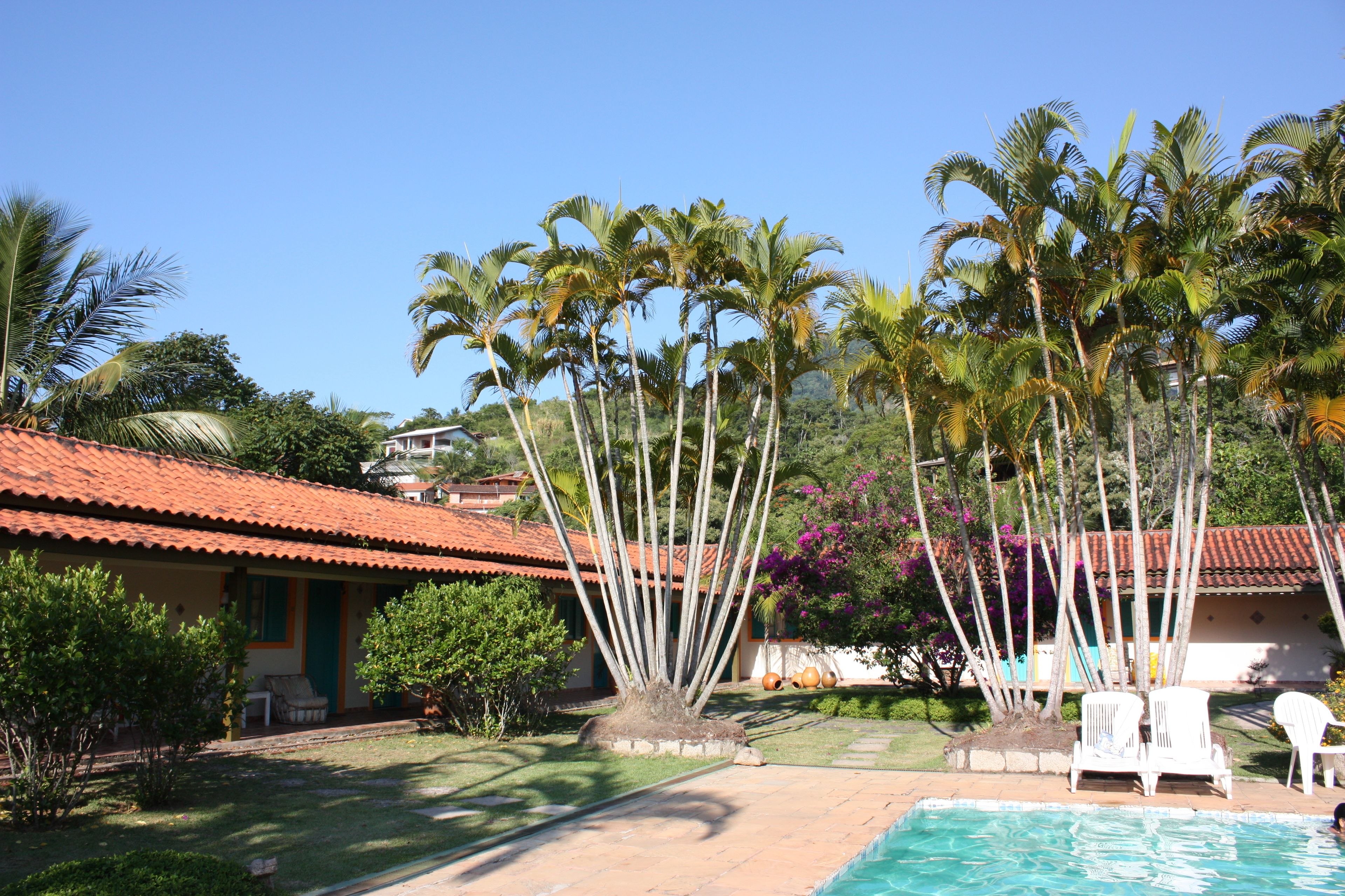 A pool area with palm trees, a tiled roof building, and white lounge chairs.