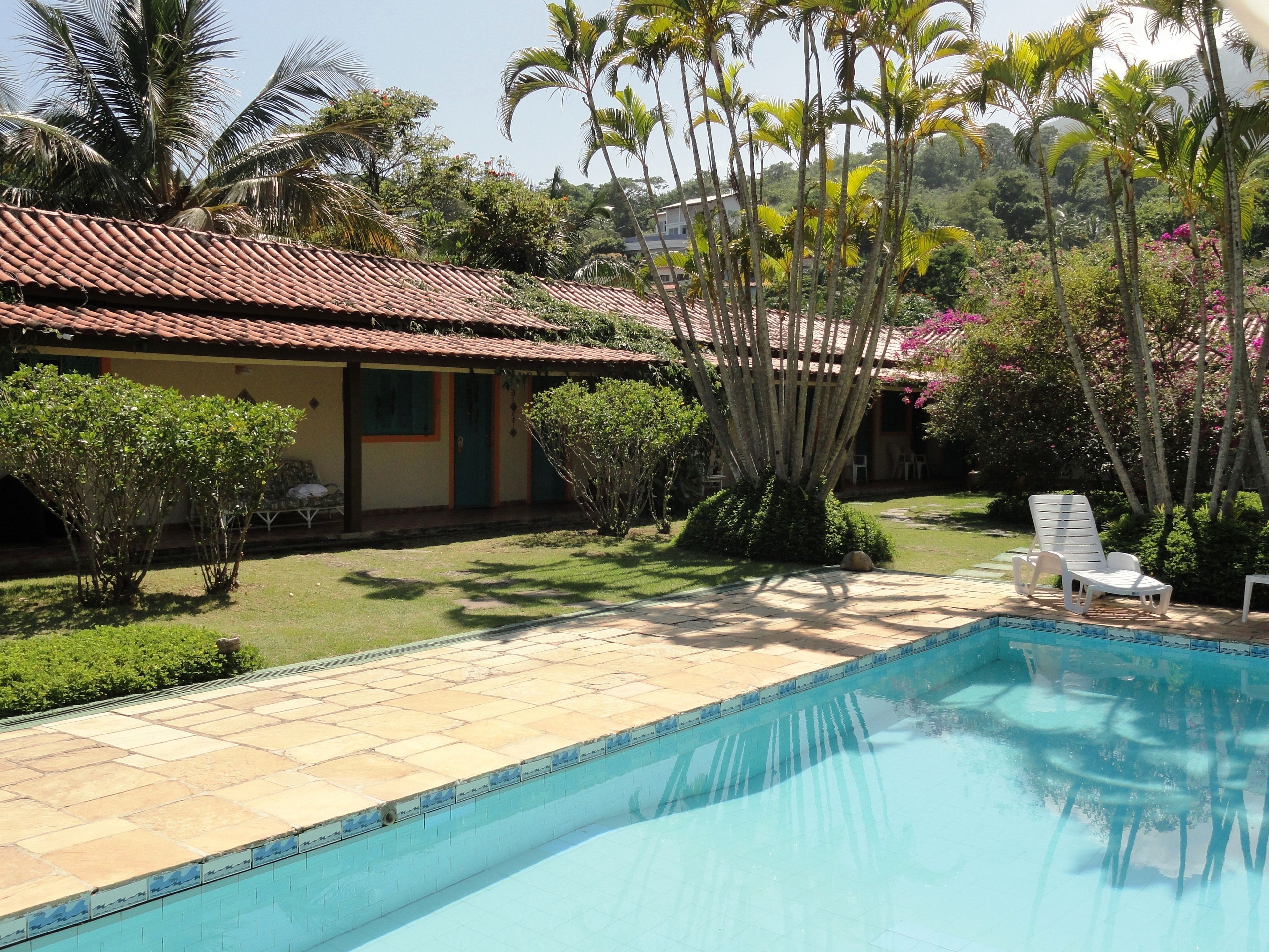 Una piscina con borde de azulejos, rodeada por un patio con baldosas de piedra. Hay dos sillas reclinables blancas y un pequeño jardín con diversas plantas y una palmera.