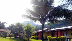 Un jardín tropical con palmeras y un edificio de techo rojo.