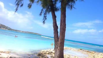 Playa en los alrededores