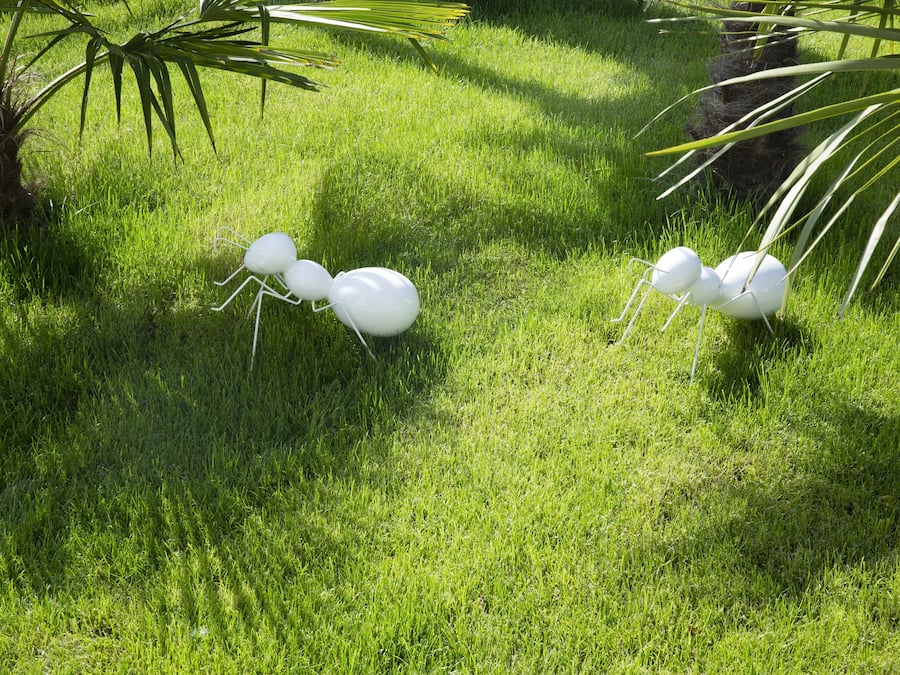 A grassy area with a palm tree and a white ant sculpture.