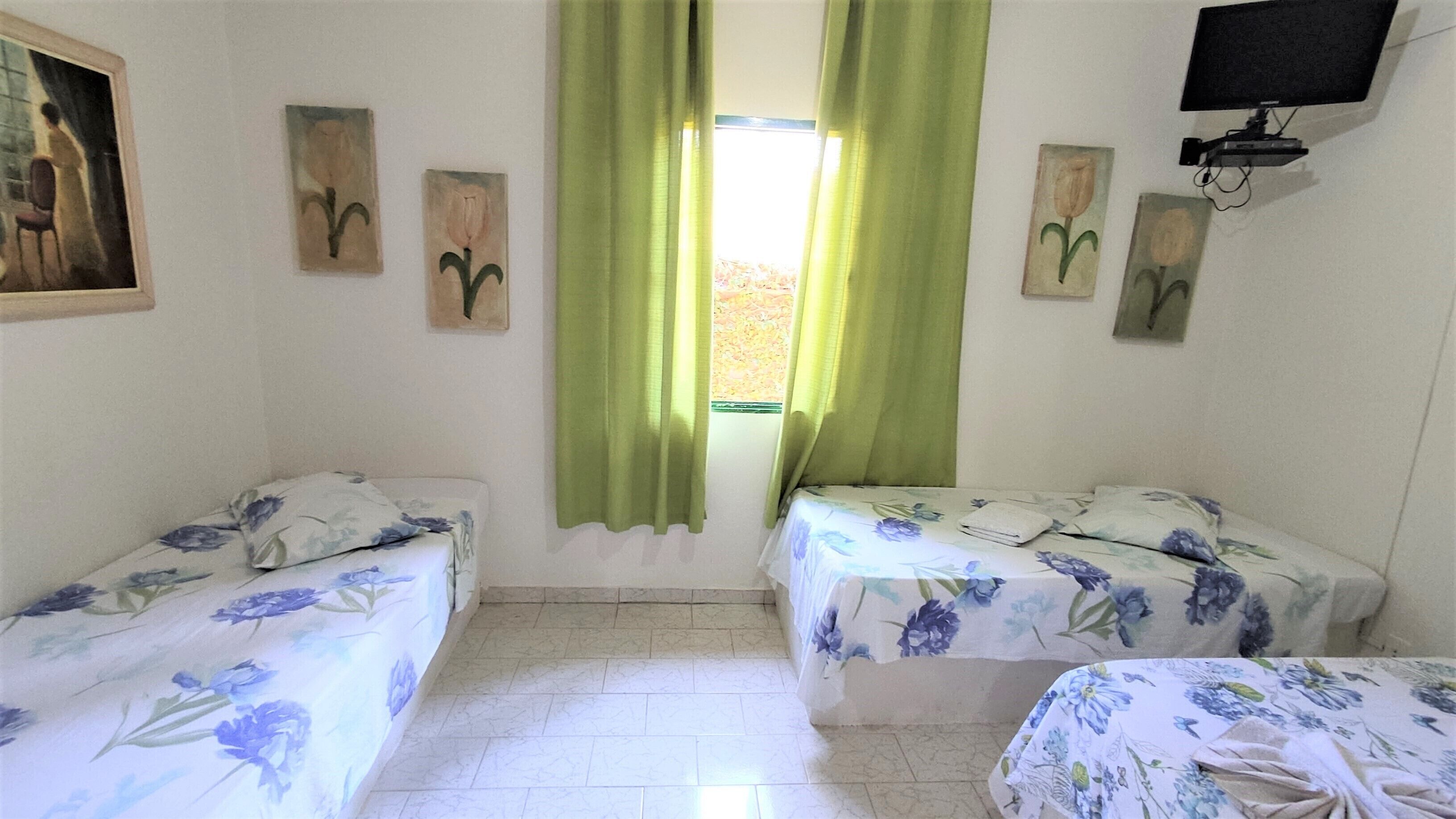 A room with two beds, green curtains, a painting on the wall, and a television.