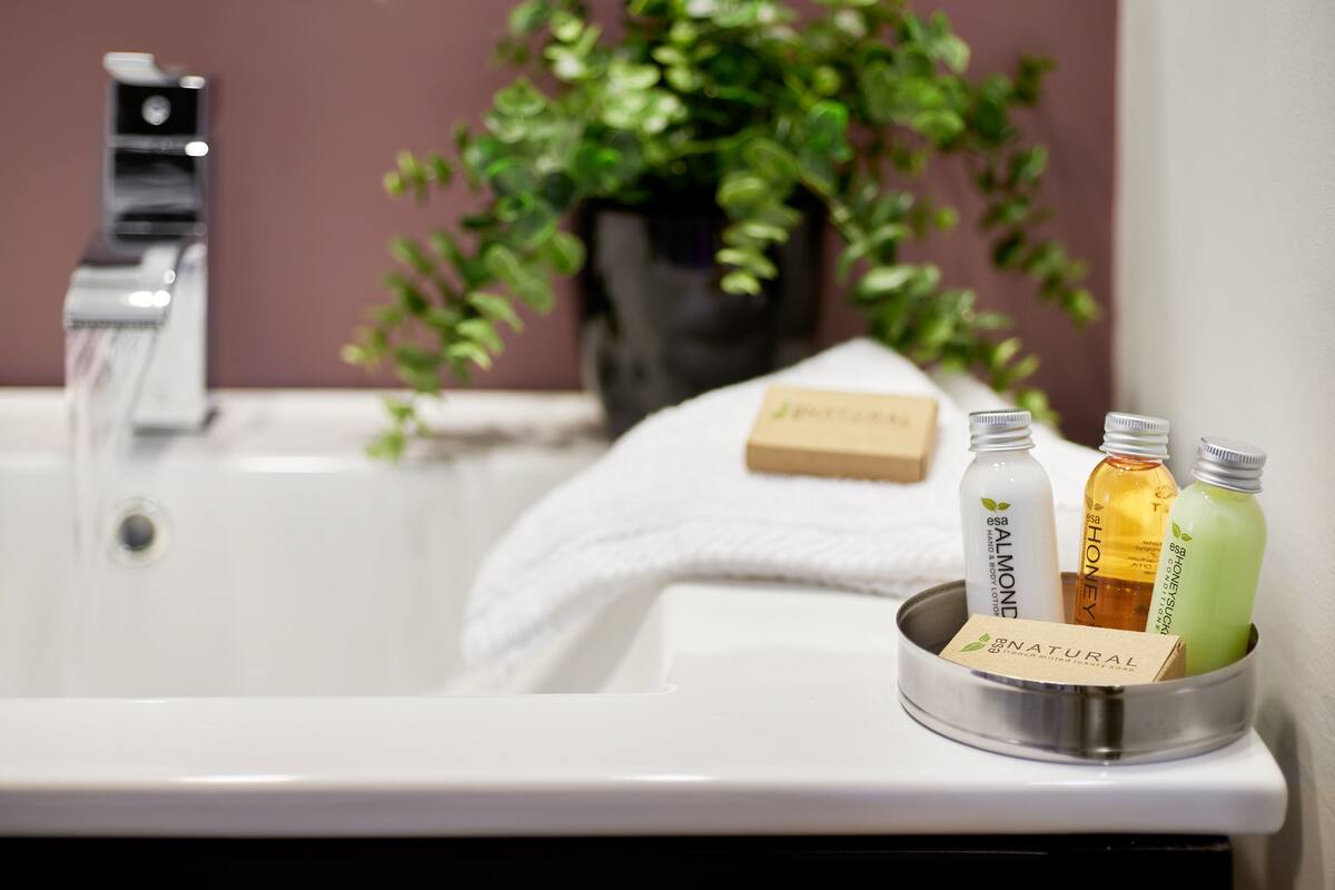 shower, free toiletries, hair dryer