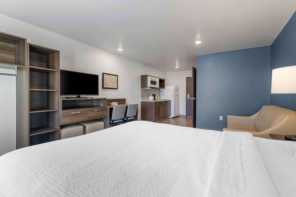 Deluxe Studio, 1 Queen Bed with Sofa bed, Non Smoking, Refrigerator & Microwave | Desk, laptop workspace, iron/ironing board (on request), WiFi (free)