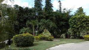 Área da propriedade