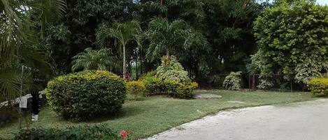 숙박 시설 구내