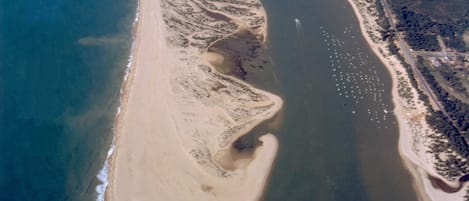 Beach nearby, sun loungers