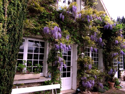 Bed and breakfast France Limousin with swimming pool