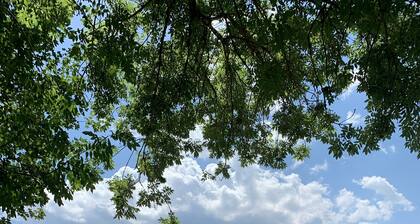 Traditional Ski Chalet with Stunning Views