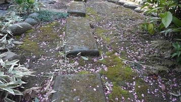 Un sentiero in pietra con pietre a gradino che si snoda attraverso un giardino fiorito di fiori rosa e verdeggiante.