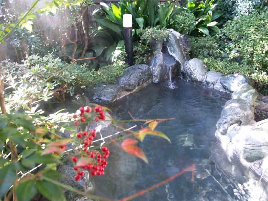 Un jardín con un estanque pequeño, rocas y plantas.