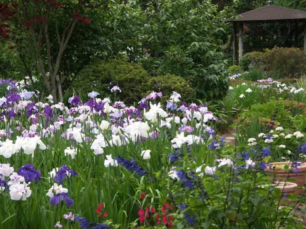 Un jardín con diversas flores y un pabellón.