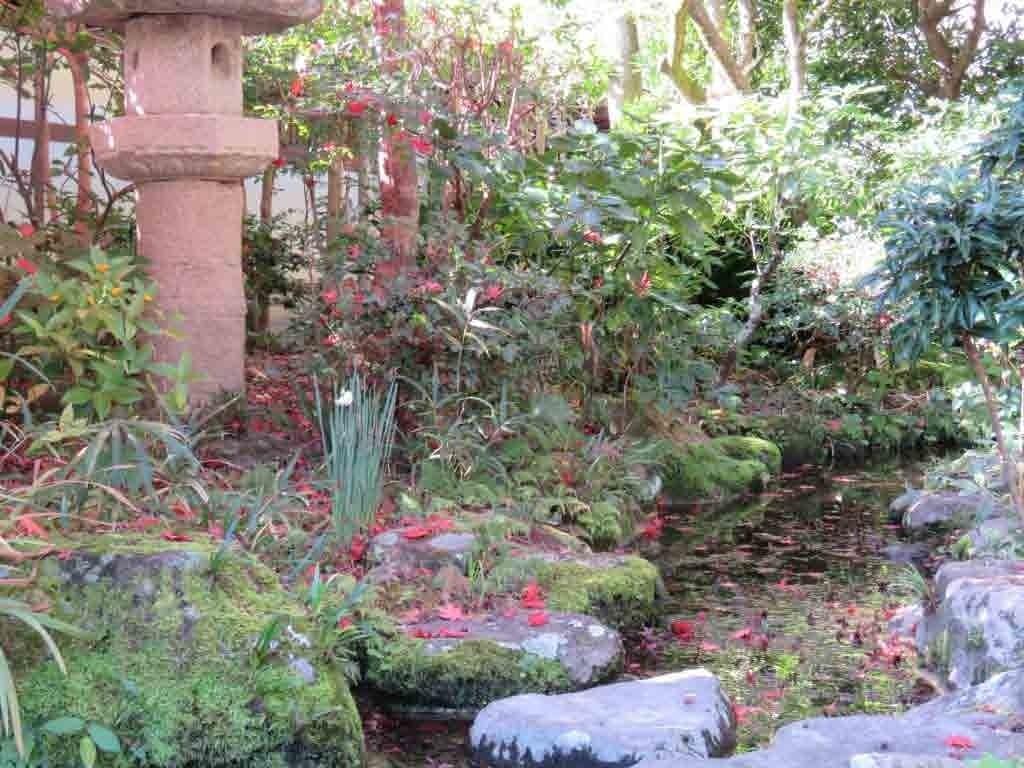 A garden with a stone structure, a small pond, and various plants.