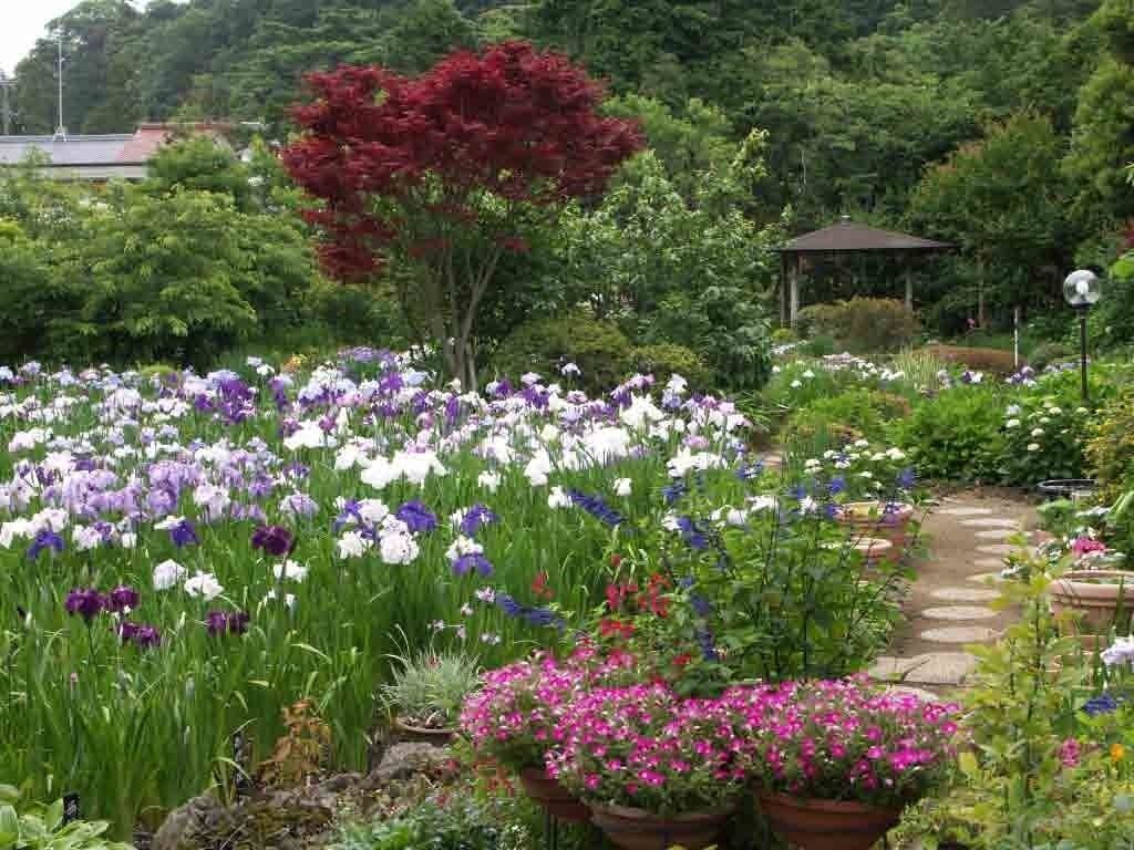 A garden with a variety of flowers and a gazebo.