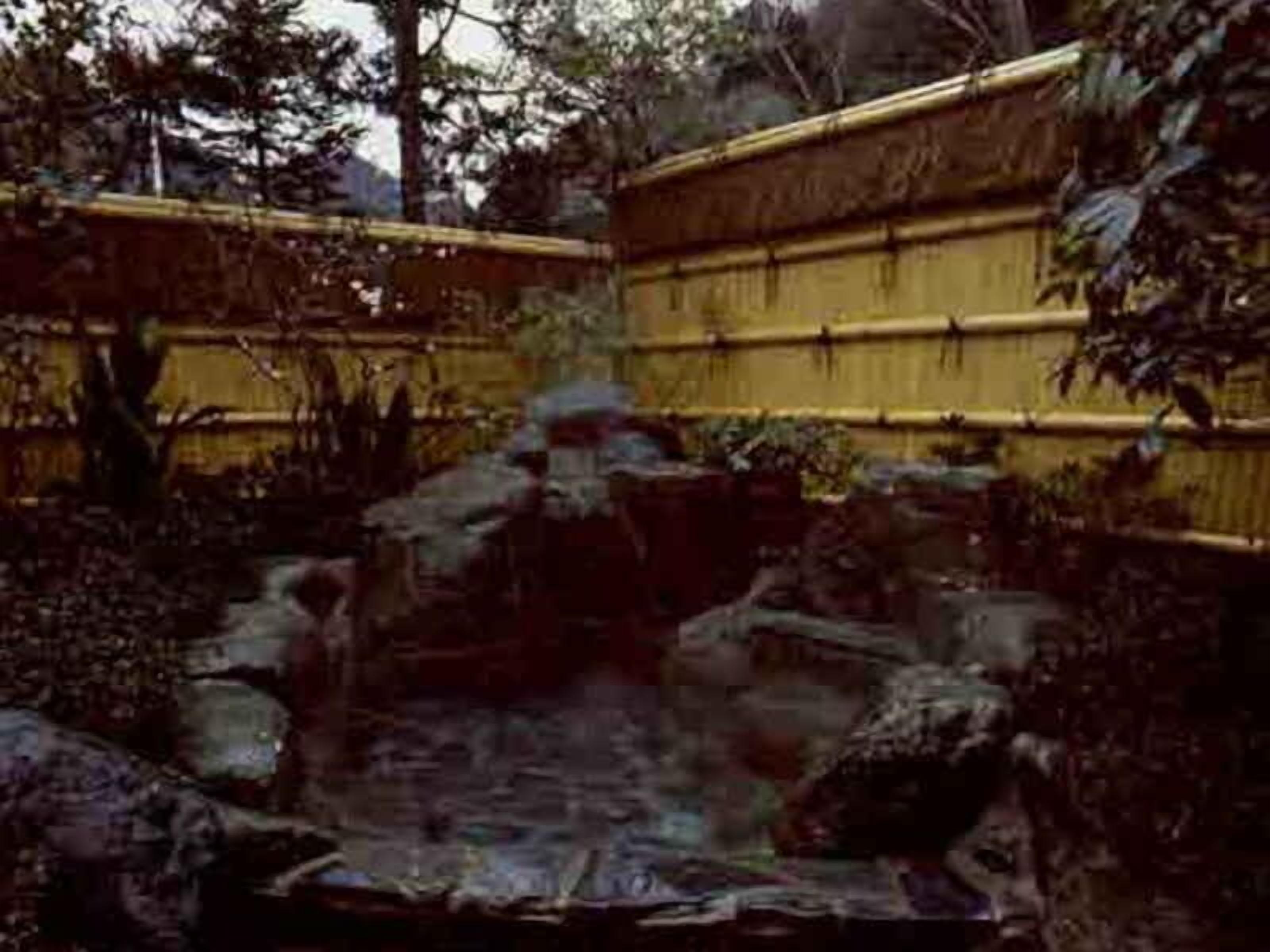 Un jardín con un pequeño estanque, una valla de bambú y rocas.