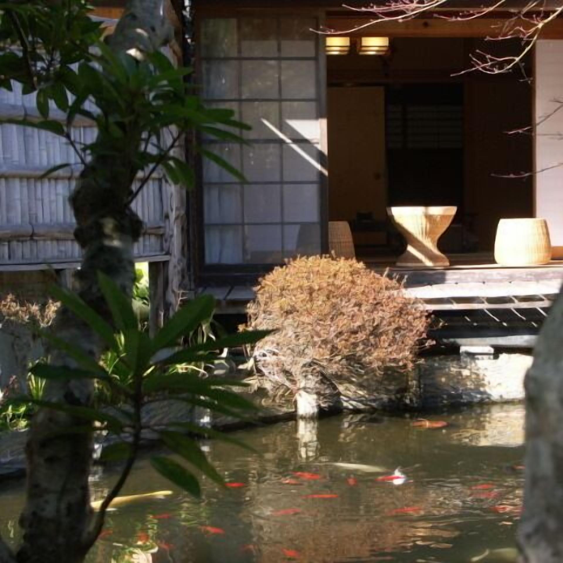 Een vijver met koi karpers, een houten constructie en een traditioneel Japans gebouw op de achtergrond.