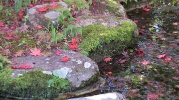 A natural outdoor setting with rocks, moss, and autumn leaves by a water body.