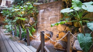 Een houten terras dat leidt naar een waterval, omringd door rotsen en weelderige begroeiing.