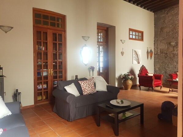 Televisión, chimenea y libros 